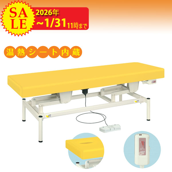 電動昇降ベッド